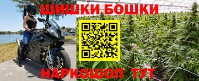 прущие крисы Краснодар