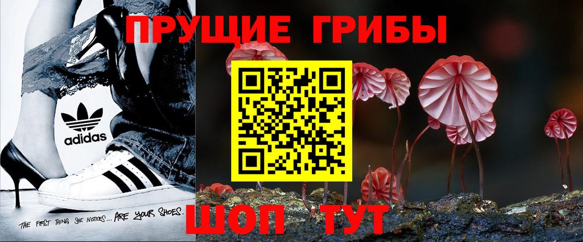 Галлюциногенные грибы Cubensis  Вход с VPN  Знаменск 